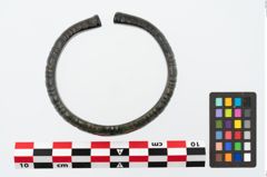 Foto von Bronzearmreif (NHMW-PRAE-025656)